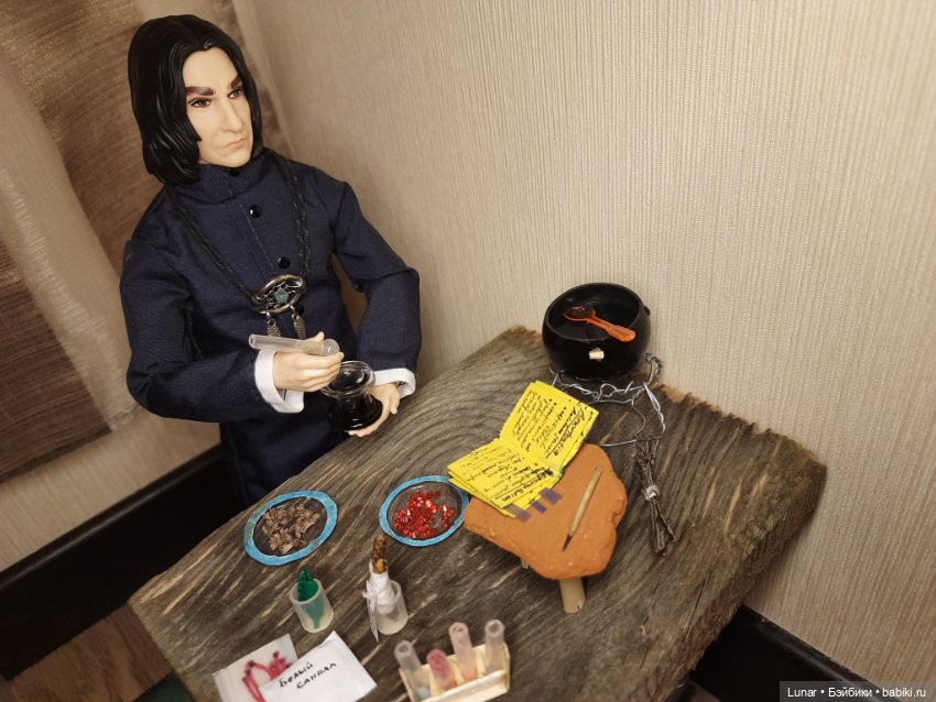 Лаборатория С. Снейпа — Кукольные фотоистории и сериалы: комиксы