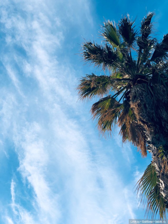 Февральская весна — Куклы Rosemarie Anna Muller (Мюллер): Вихтели (Wichtel)