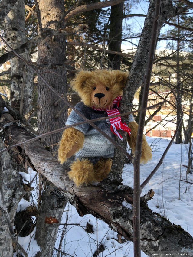 Прогулка в Архыз — Авторские мишки Тедди и друзья: фото