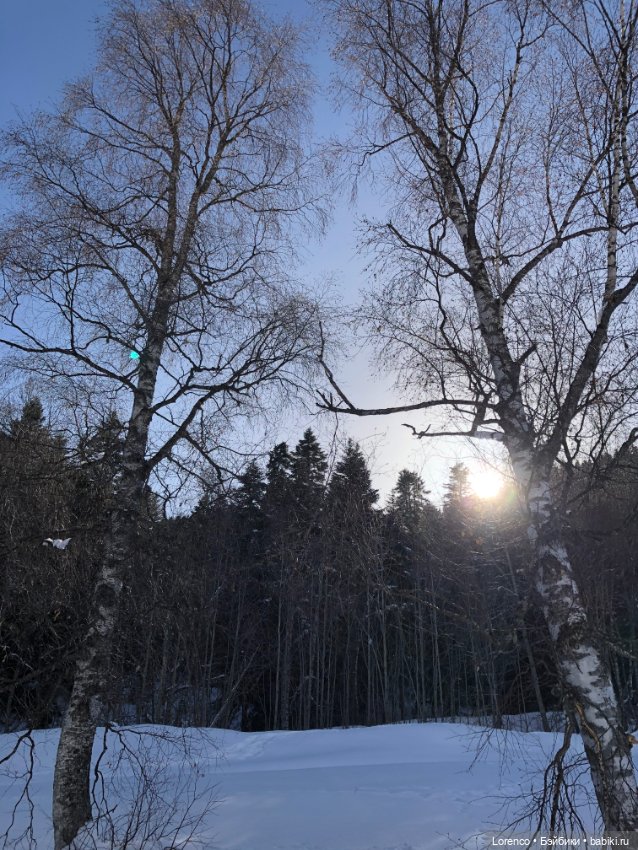 Прогулка в Архыз — Авторские мишки Тедди и друзья: фото