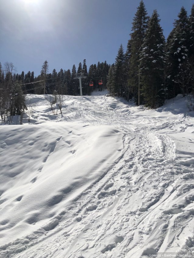 Прогулка в Архыз — Авторские мишки Тедди и друзья: фото
