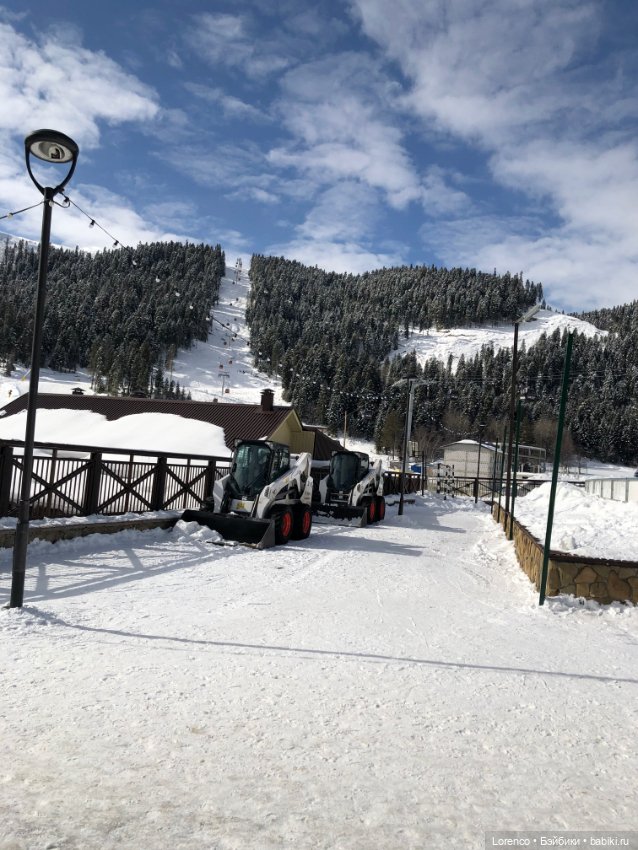 Прогулка в Архыз — Авторские мишки Тедди и друзья: фото