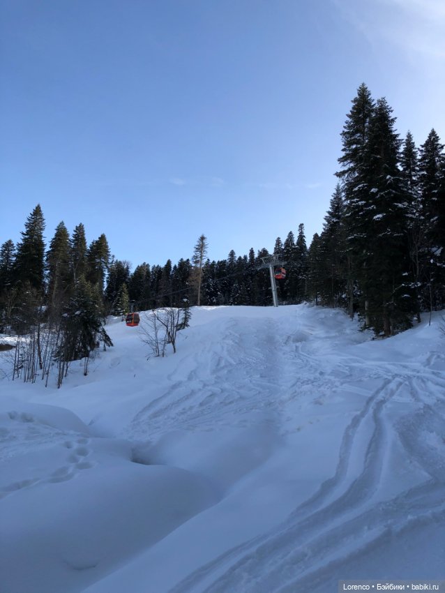 Прогулка в Архыз — Авторские мишки Тедди и друзья: фото