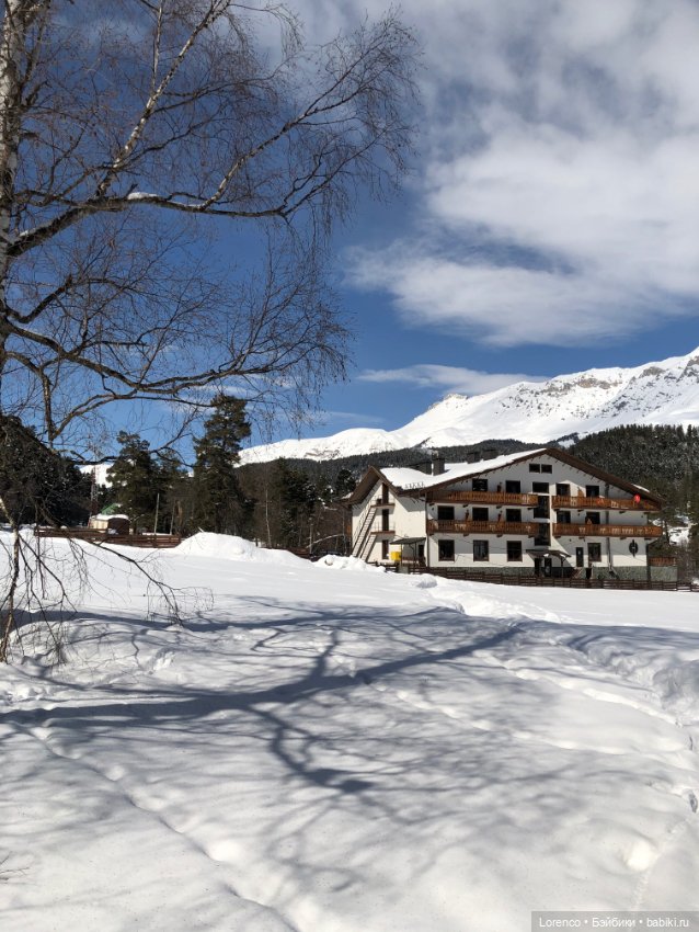 Прогулка в Архыз — Авторские мишки Тедди и друзья: фото