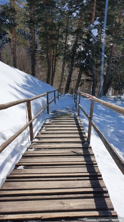 Прогулка в Архыз — Авторские мишки Тедди и друзья: фото (фото 4)