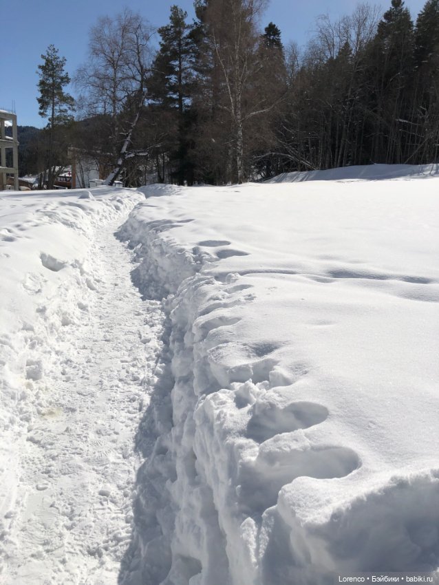 Прогулка в Архыз — Авторские мишки Тедди и друзья: фото