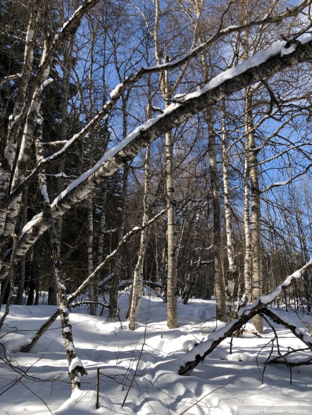 Прогулка в Архыз — Авторские мишки Тедди и друзья: фото