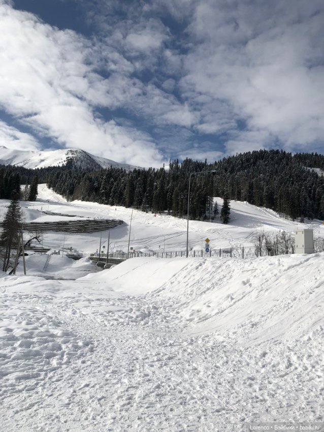 Прогулка в Архыз — Авторские мишки Тедди и друзья: фото