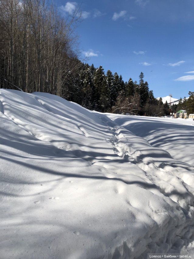 Прогулка в Архыз — Авторские мишки Тедди и друзья: фото
