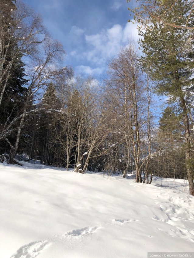 Прогулка в Архыз — Авторские мишки Тедди и друзья: фото