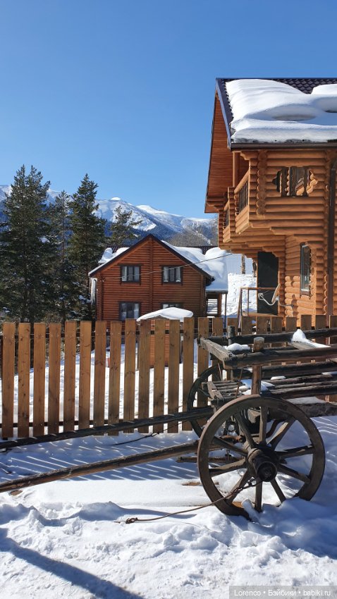 Прогулка в Архыз — Авторские мишки Тедди и друзья: фото (фото 6)