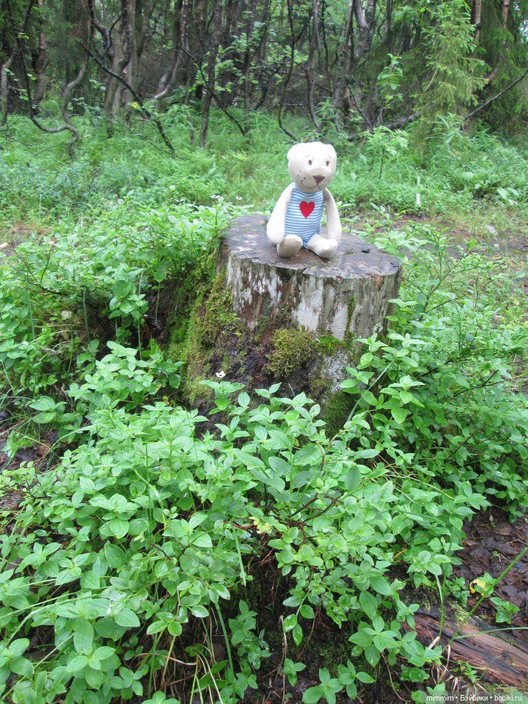 Путешественник — Игрушки СССР и советского детства: резиновые