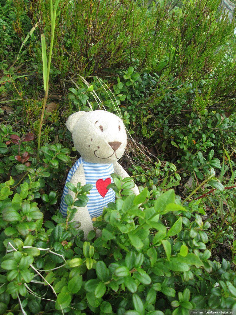 Путешественник — Игрушки СССР и советского детства: резиновые