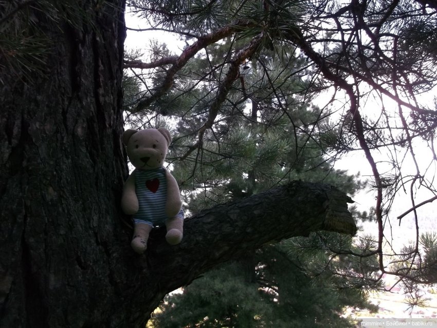 Путешественник — Игрушки СССР и советского детства: резиновые (фото 2)