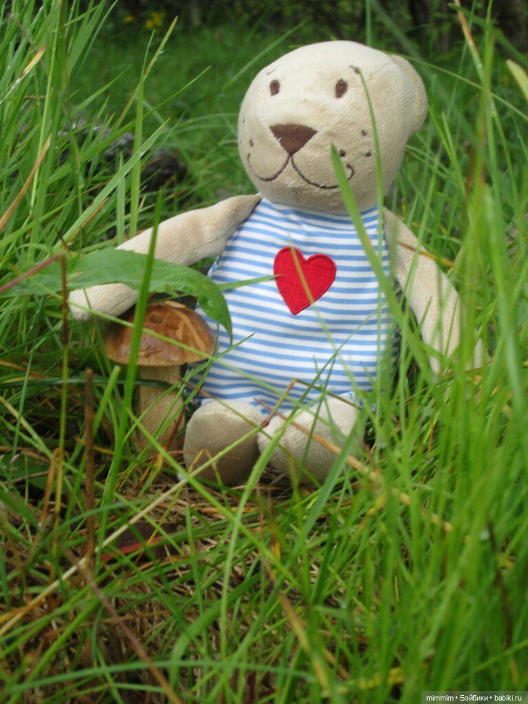 Путешественник — Игрушки СССР и советского детства: резиновые