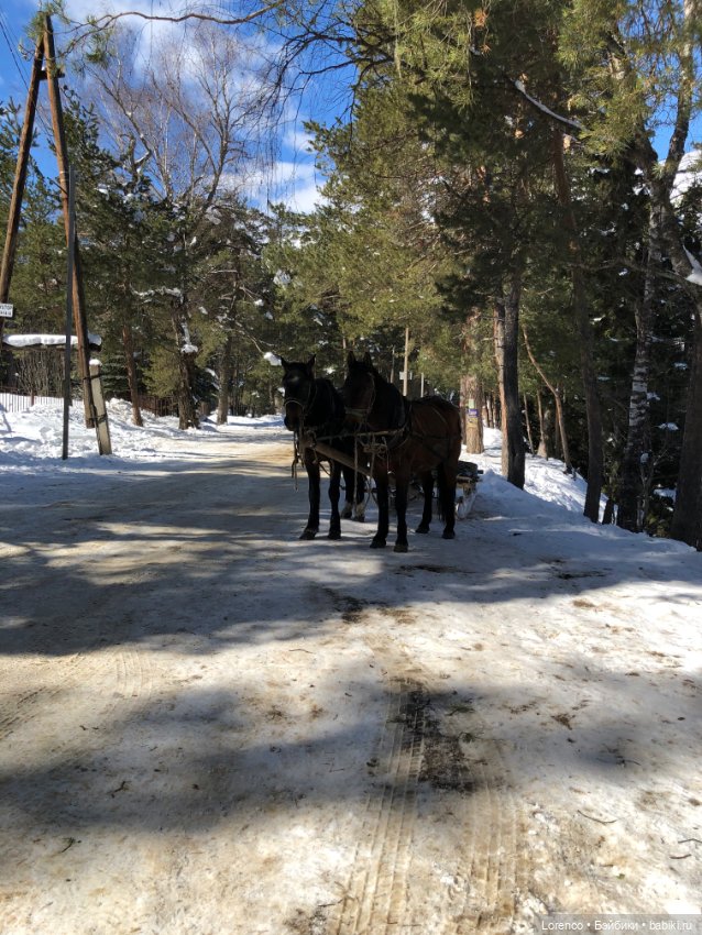 Тебердинский заповедник (Архыз) (фото 6)
