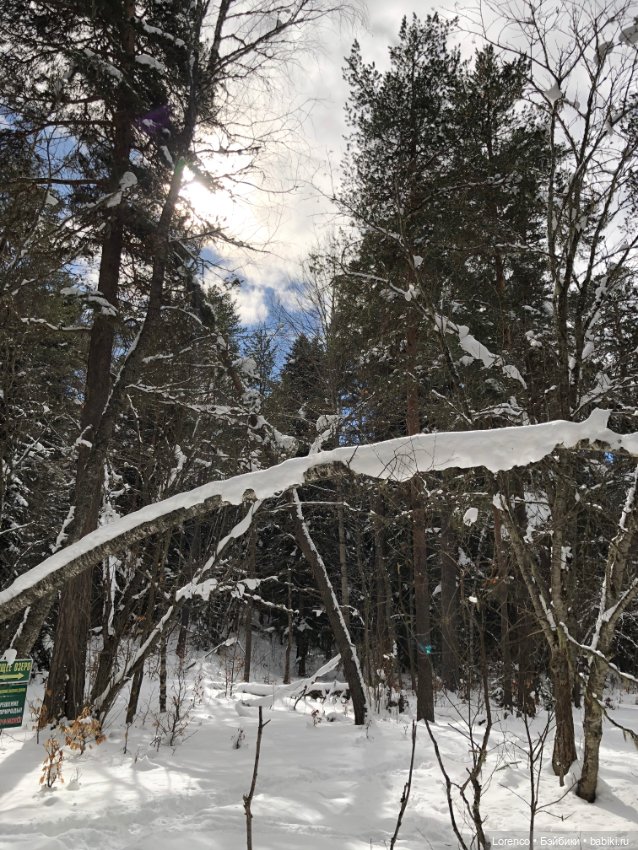 Тебердинский заповедник (Архыз)