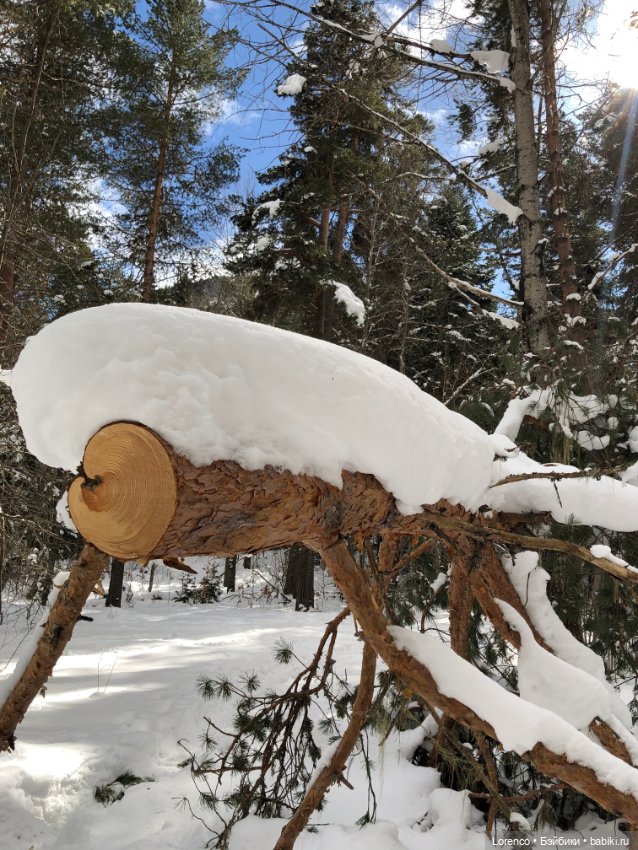 Тебердинский заповедник (Архыз)