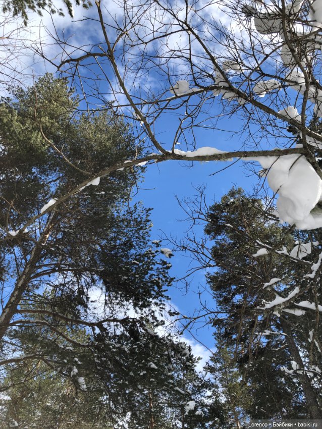 Тебердинский заповедник (Архыз)