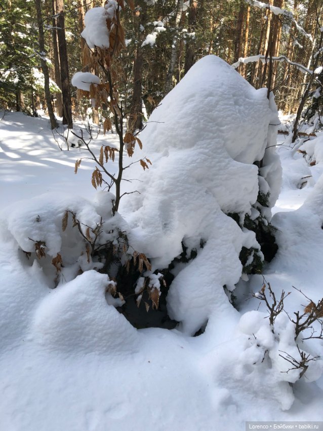 Тебердинский заповедник (Архыз)