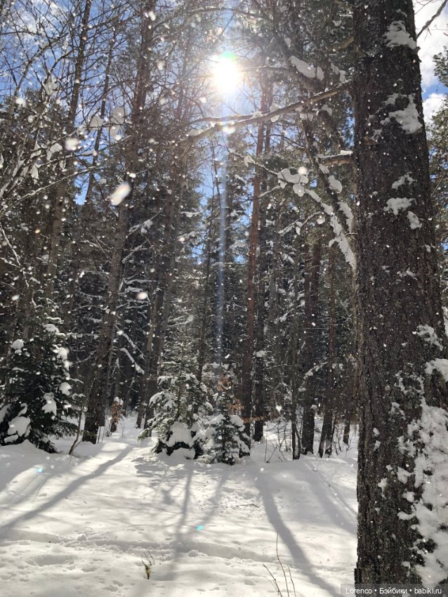 Тебердинский заповедник (Архыз)