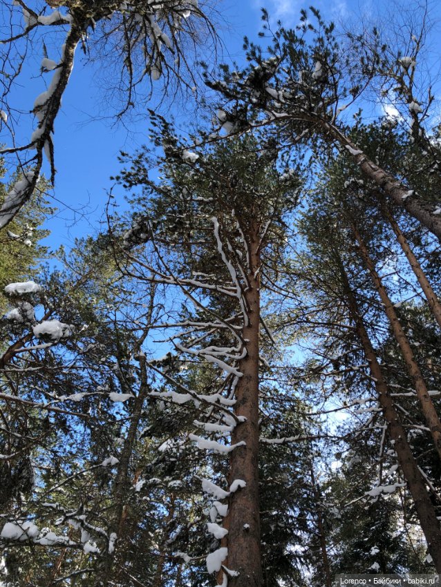 Тебердинский заповедник (Архыз)