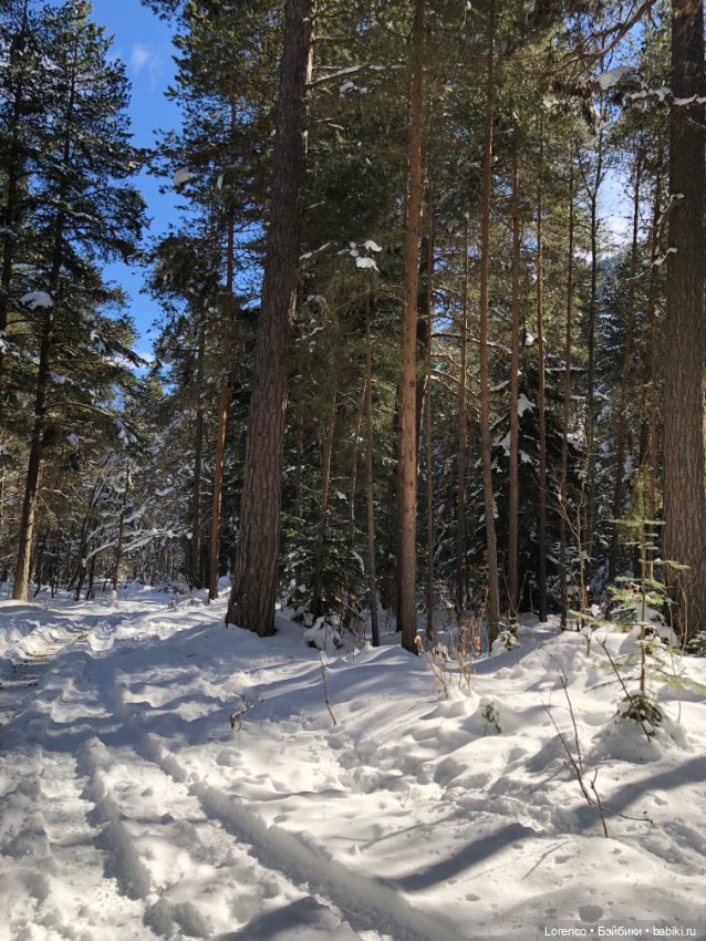 Тебердинский заповедник (Архыз)