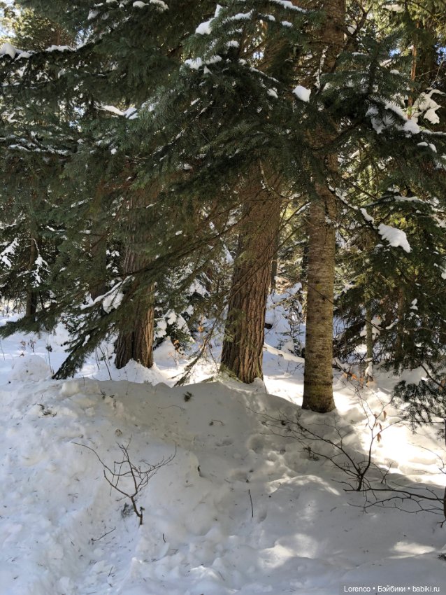 Тебердинский заповедник (Архыз)