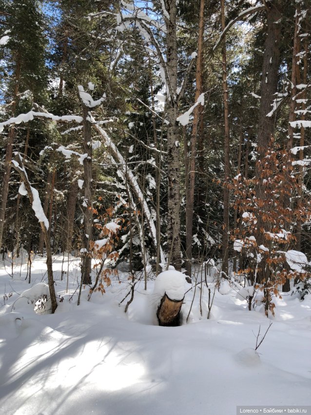 Тебердинский заповедник (Архыз)