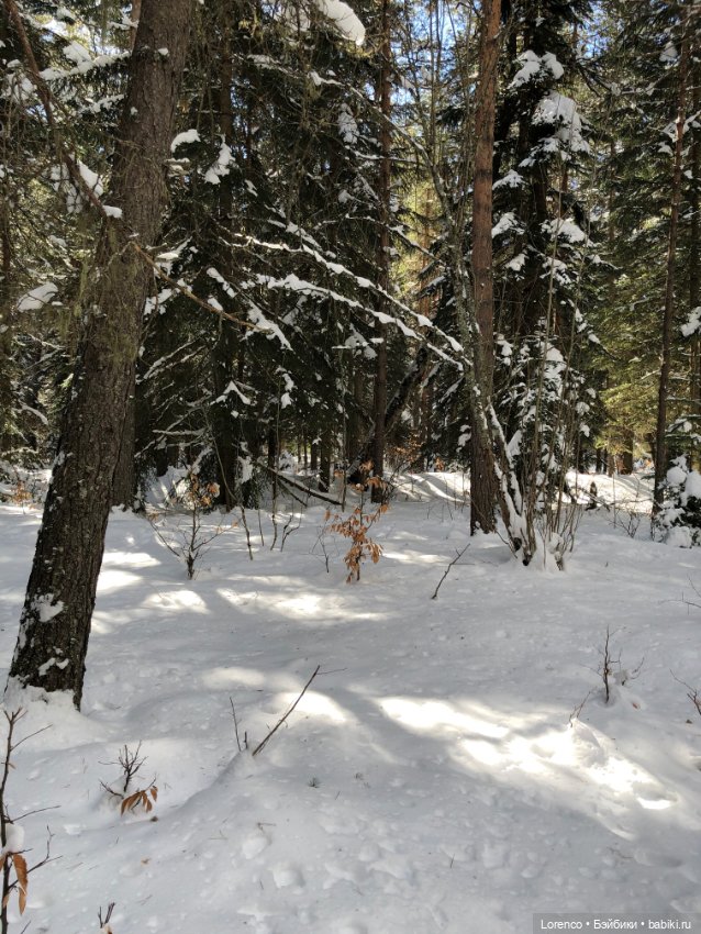 Тебердинский заповедник (Архыз)