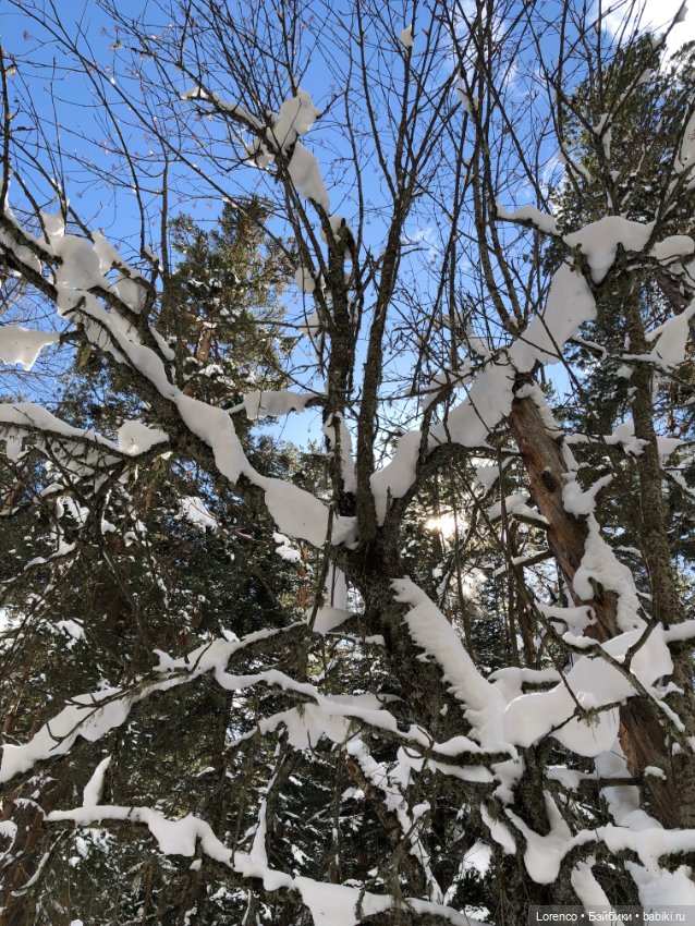 Тебердинский заповедник (Архыз)