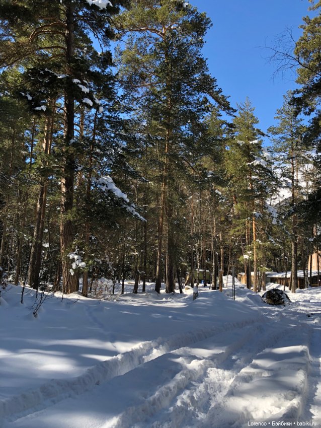 Тебердинский заповедник (Архыз) (фото 7)