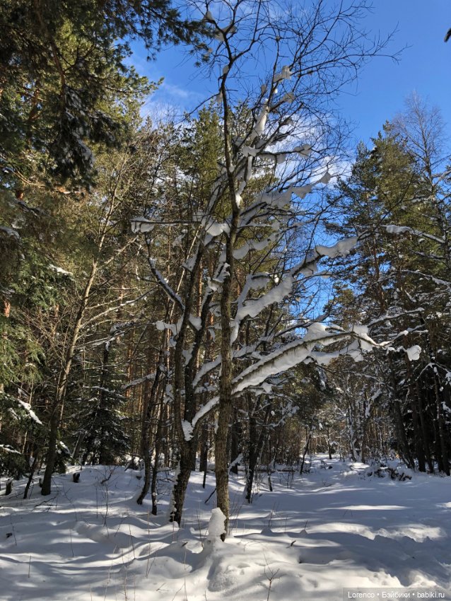 Тебердинский заповедник (Архыз)