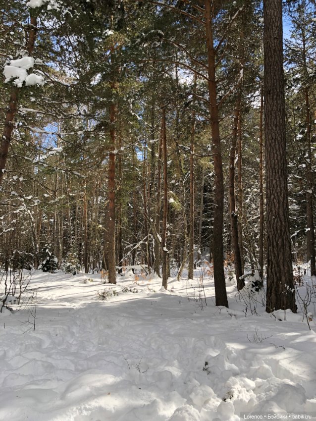 Тебердинский заповедник (Архыз)