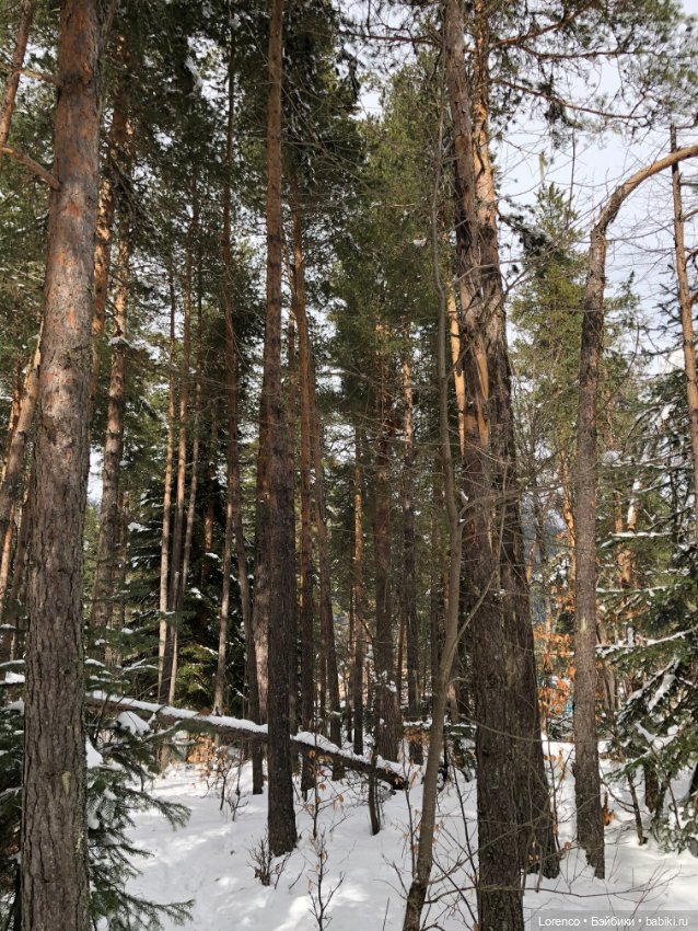 Тебердинский заповедник (Архыз)