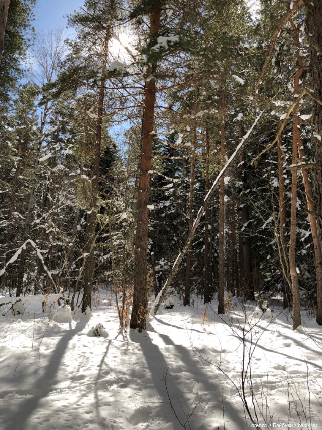 Тебердинский заповедник (Архыз)