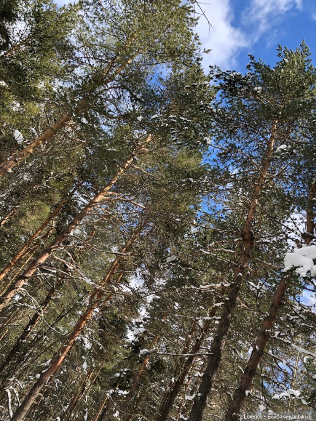 Тебердинский заповедник (Архыз)