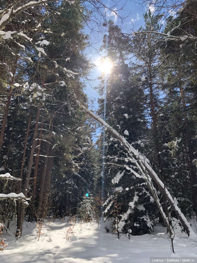 Тебердинский заповедник (Архыз)