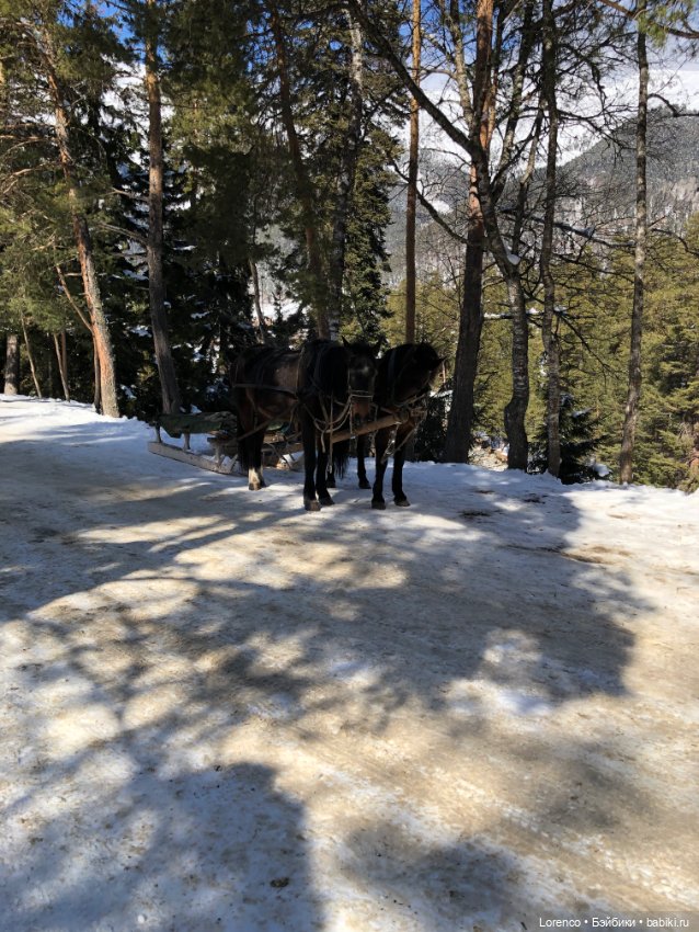 Тебердинский заповедник (Архыз)