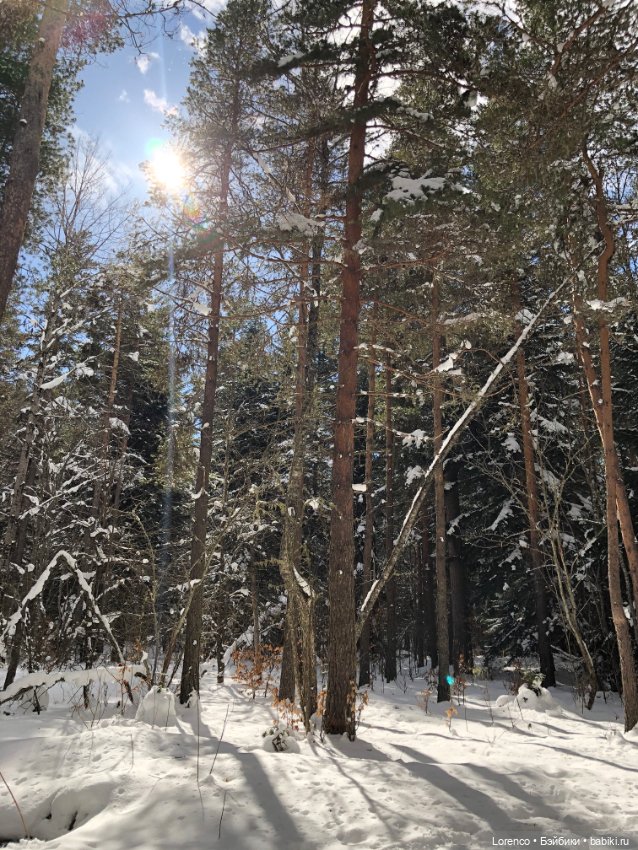 Тебердинский заповедник (Архыз)