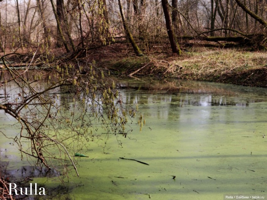 В подснежниках. Minouche Sylvia Natterer (фото 3)