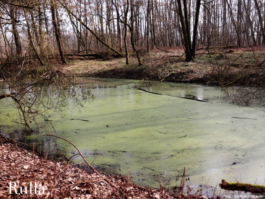 В подснежниках. Minouche Sylvia Natterer (фото 4)