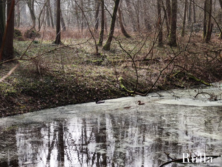 В подснежниках. Minouche Sylvia Natterer (фото 2)
