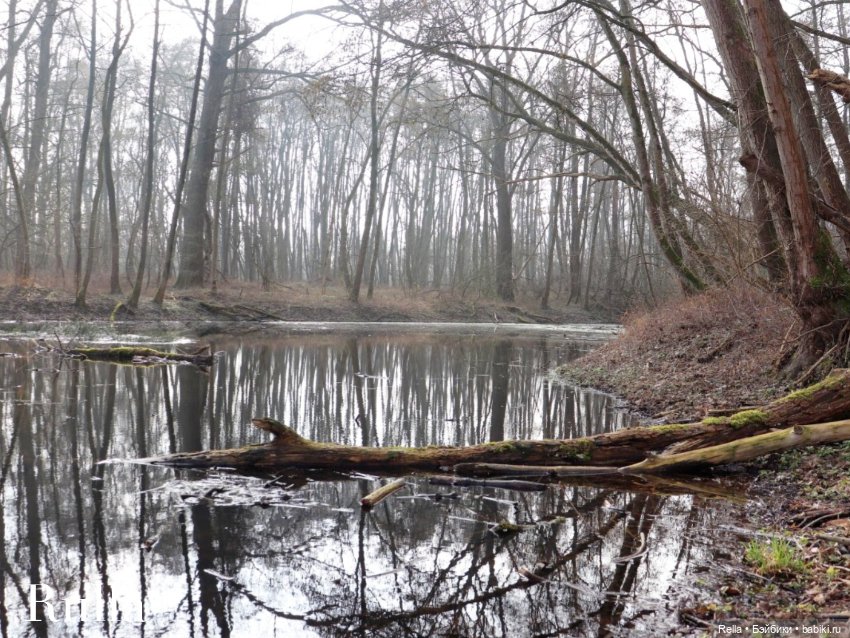 В подснежниках. Minouche Sylvia Natterer