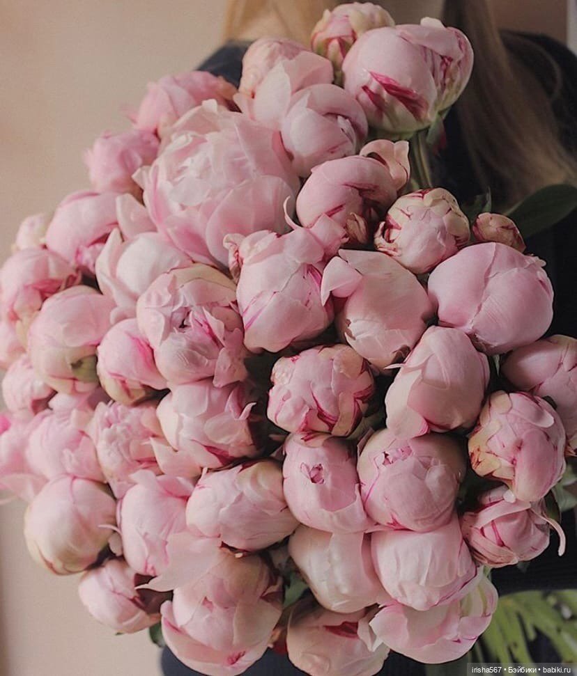 Розовая мечта — Куклы Paola Reina (Паола Рейна): новинки