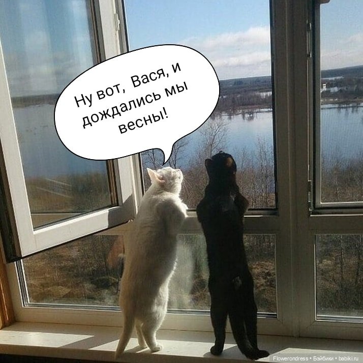 Поздравляем с первым весенним днём (фото 3)