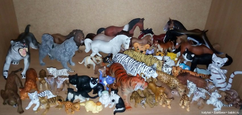 Весна и День Котиков — Болталка и разговоры обо всем: жизнь (фото 2)