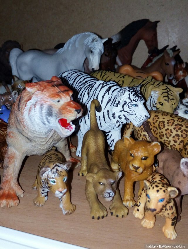 Весна и День Котиков — Болталка и разговоры обо всем: жизнь