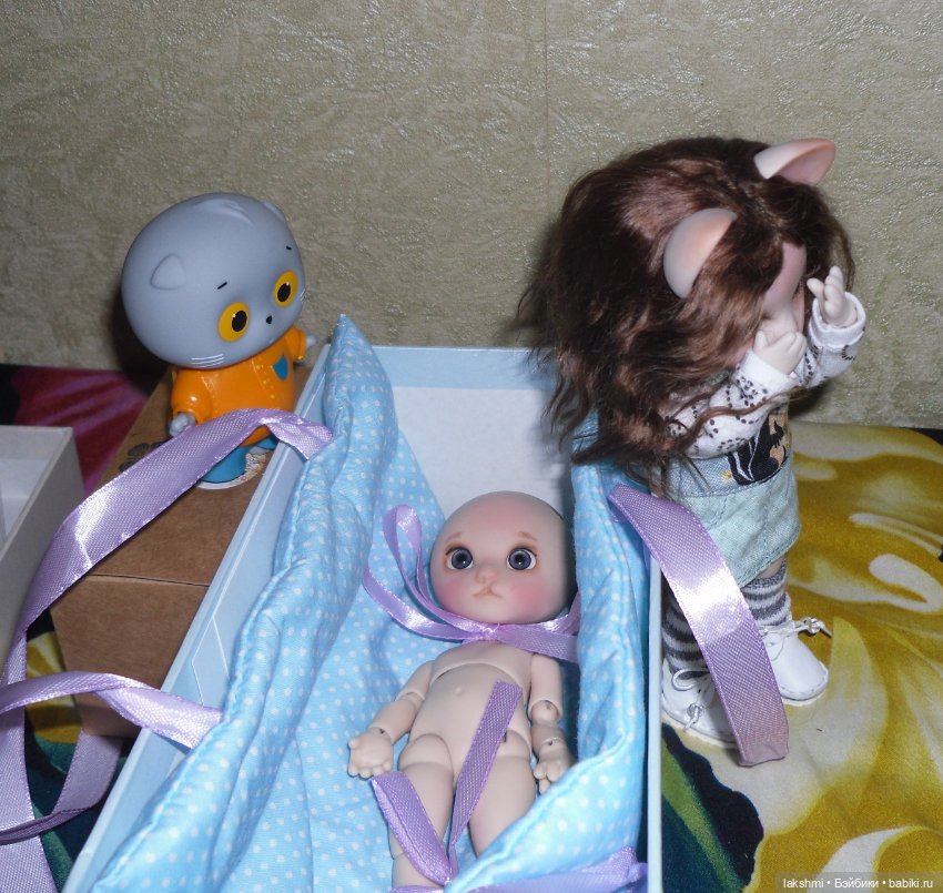 Каждый день - день КОТА (*_*) (фото 5)