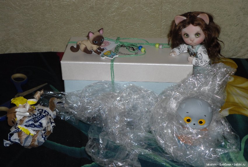 Каждый день - день КОТА (*_*) (фото 2)